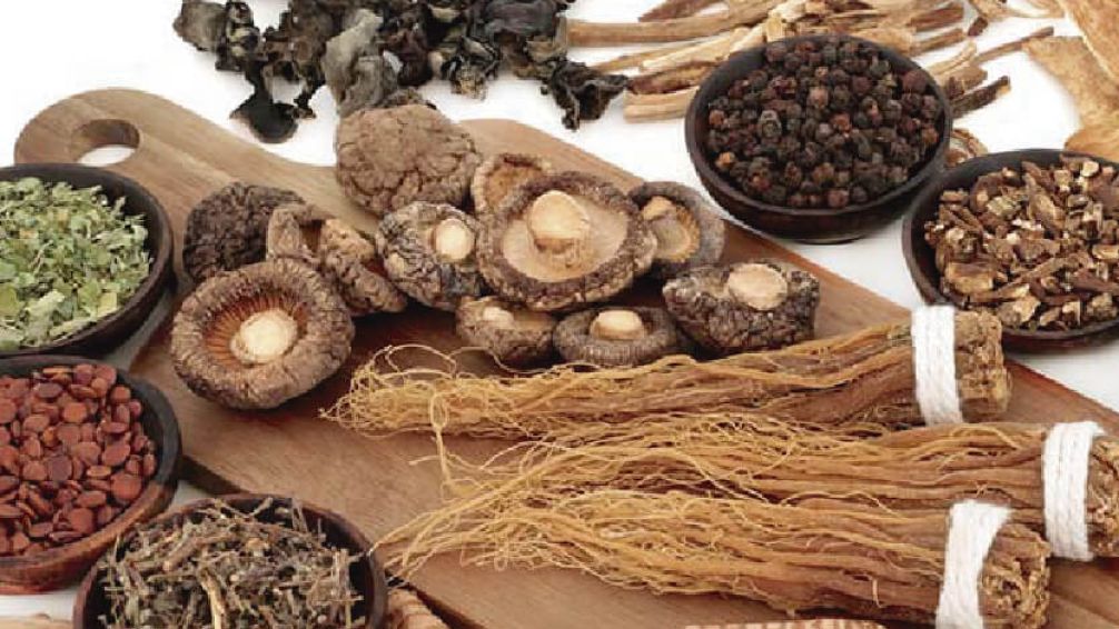 De la nostalgia al futuro: los ingredientes que van a marcar la gastronomía argentina en 2026