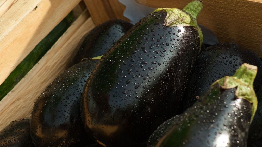 La berenjena, la reina inesperada del verano porteño
