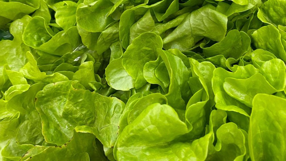 Lechuga caliente: tres recetas inesperadas para salir del bowl aburrido