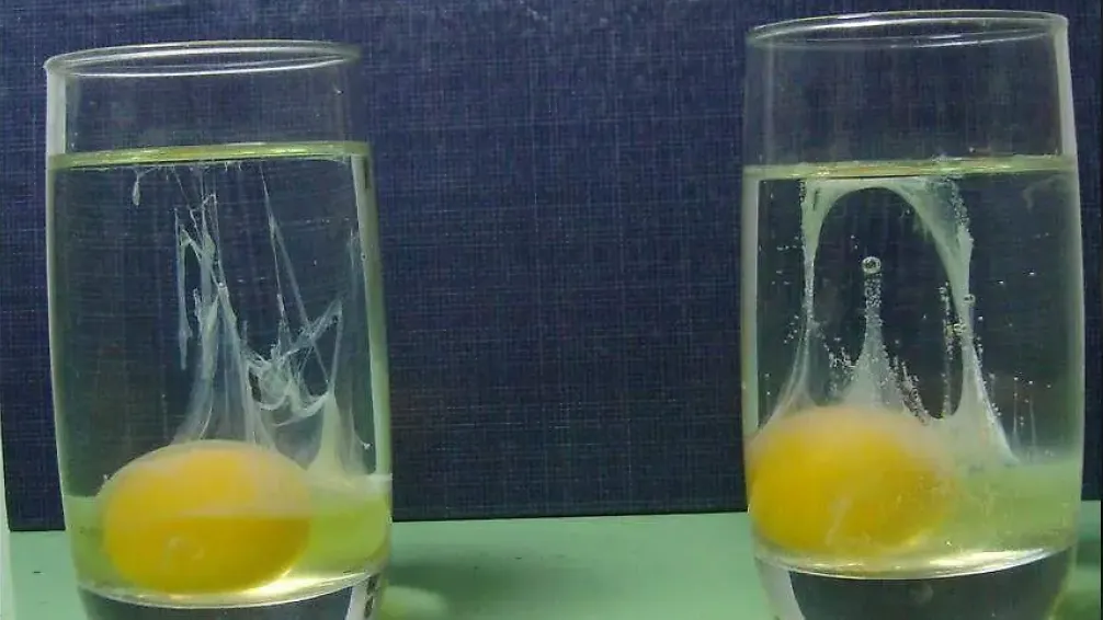 El ritual del huevo que se volvió viral: la tendencia espiritual en las redes