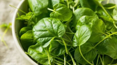 Berro: el secreto natural para desinflamar y cuidar tu piel