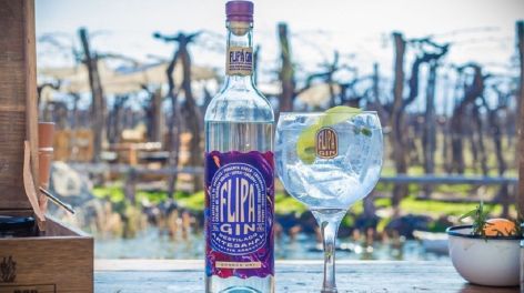 El gin argentino que conquistó Londres: secretos de un boom global