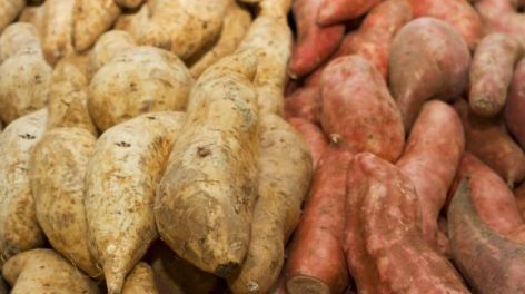Batata o boniato: el sabor porteño que confunde pero conquista