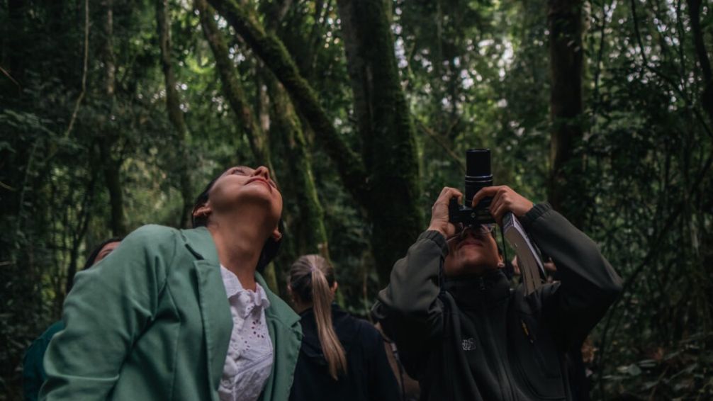 Volar 2025: Tres días para vivir Puerto Iguazú con alas y binoculares