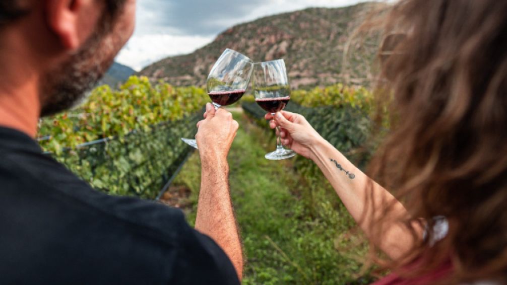 Jornadas Nacionales de Turismo del Vino 2025: Córdoba se prepara para celebrar la cultura del vino argentino