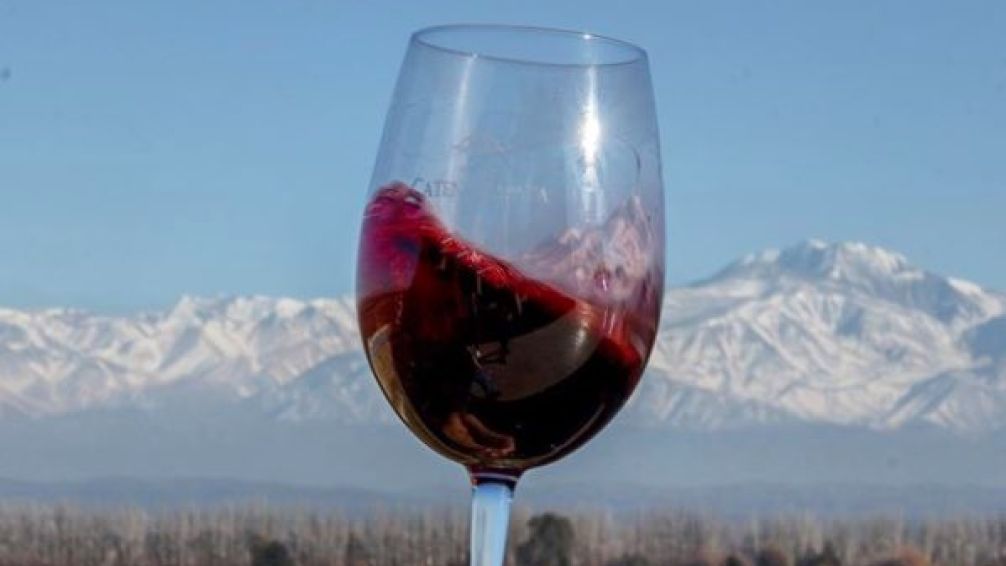 Cinco Malbec orgánicos argentinos que tenés que probar