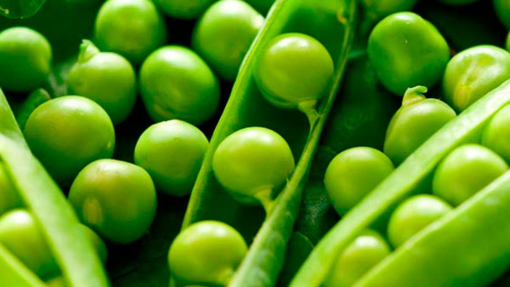 Así se cocinan las arvejas para que conserven todos sus nutrientes
