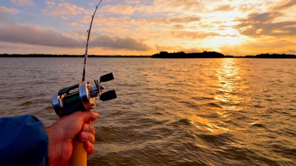 Las mejores escapadas de pesca en Buenos Aires para viajar sin apuro