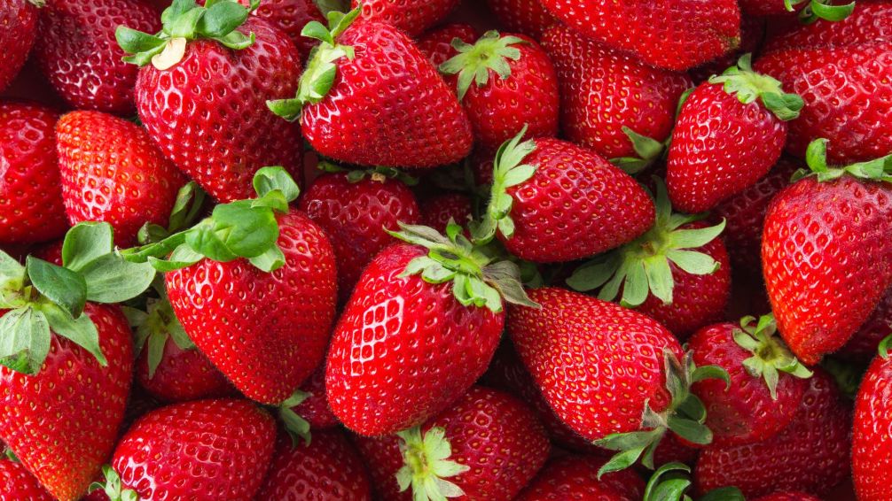 Frutillas que duran: trucos para que tus frutas se mantengan frescas más días en la heladera