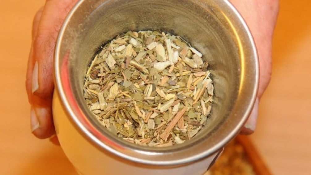 Qué tipos de yerba mate existen y cuál te conviene elegir