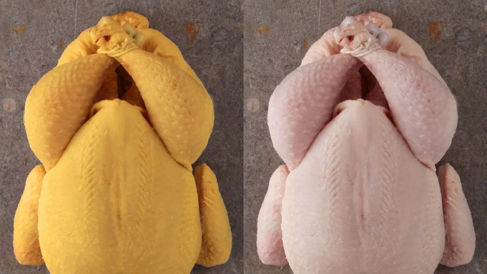 Comprar pollo amarillo o blanco: qué diferencia tiene y cuál es mejor para cocinar
