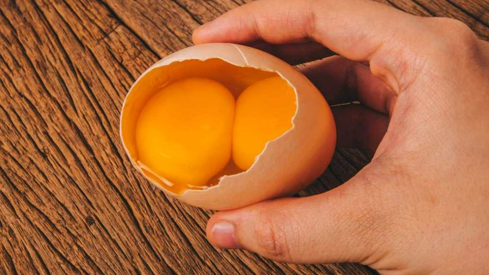 Huevo con dos yemas: qué significa y por qué ocurre